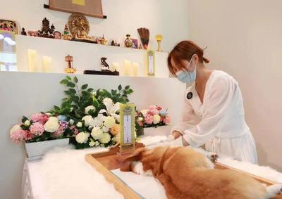 全國覆蓋68個城市，年服務10萬只寵物 恩寵堂靠標準化崛起，揭秘千億寵物殯葬賽道護城河